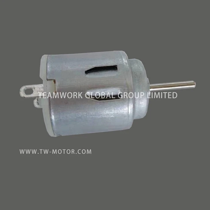 Small DC Motor
