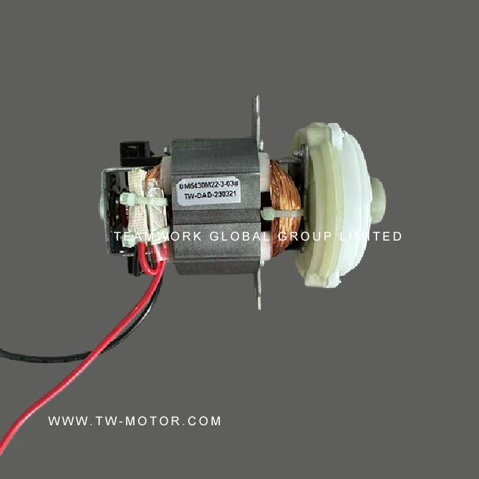 Electric Grinder Motor
