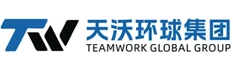 チームワーク・グローバル・グループ・リミテッド